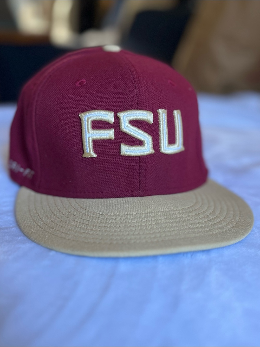 Nike True Garnet Gold Florida State Seminoles Performance Fitted Hat OS